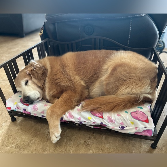 ๐ถ๐พLike to be notified when live.๐ถ๐พ (LIVE LISTING) - Picture 9 of 11